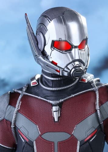 Ant Man