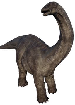 Apatosaurus