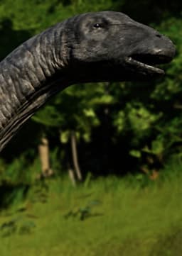 Apatosaurus