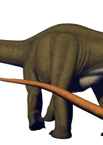 Apatosaurus