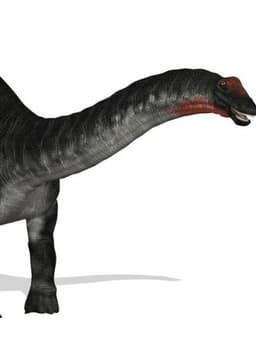 Apatosaurus