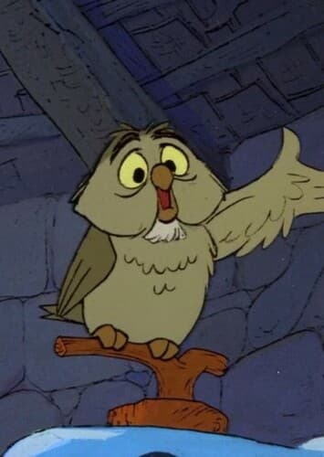 Archimedes The Owl