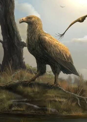 Argentavis