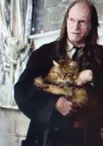 Argus Filch
