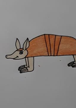 Arnold the Armadillo