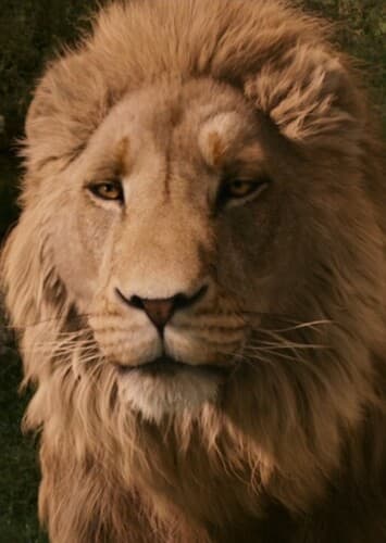 Aslan