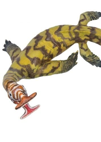Atopodentatus