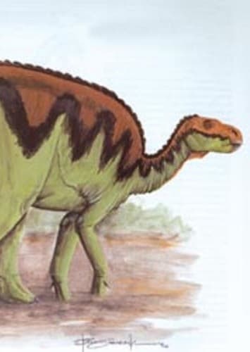 Bactrosaurus