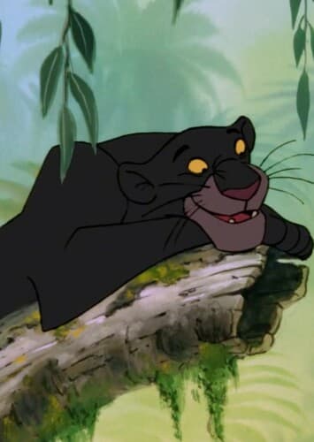 Bagheera