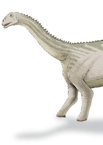 Bellusaurus
