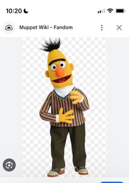 Bert