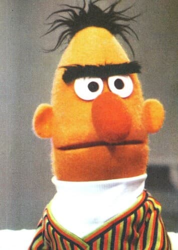 Bert