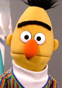 Bert