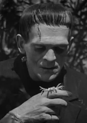 Best Frankenstein Monster