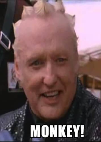 Best Monkey