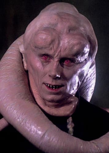 Bib Fortuna