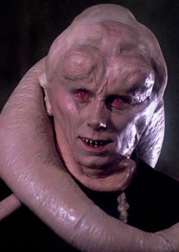 Bib Fortuna