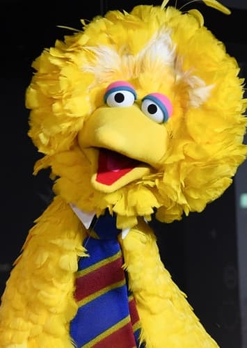 big Bird