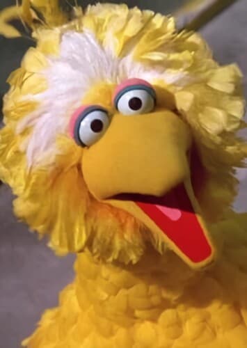 Big Bird