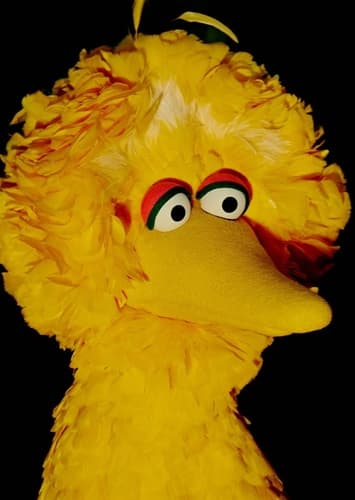 Big Bird