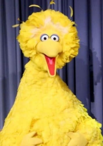 Big Bird