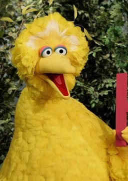 Big Bird
