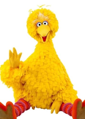 Big Bird