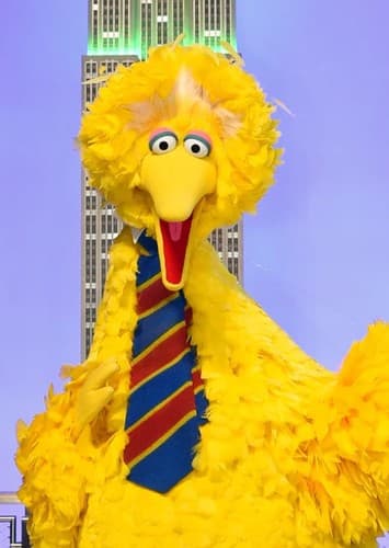 Big Bird