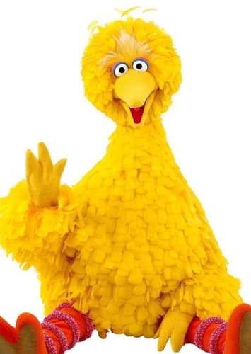 Big Bird