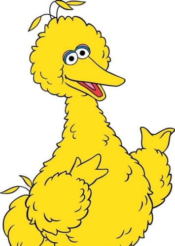 Big Bird