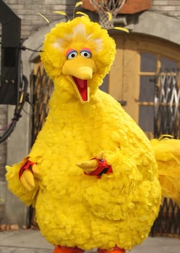 Big Bird