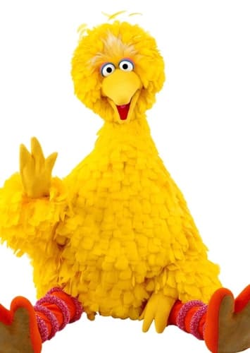 Big Bird