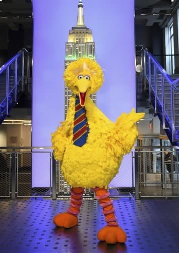 Big Bird