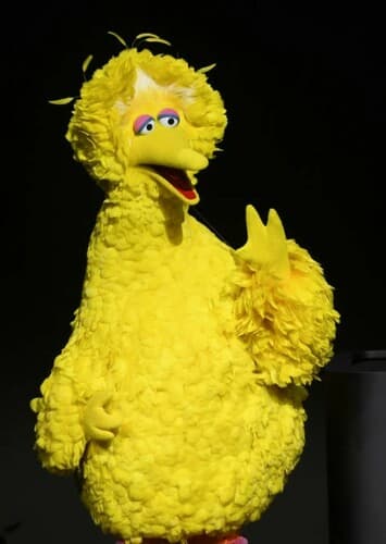 Big Bird