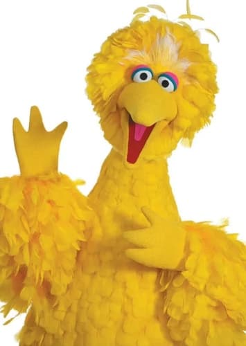 Big Bird