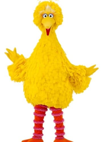 Big Bird