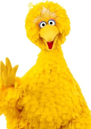 Big Bird