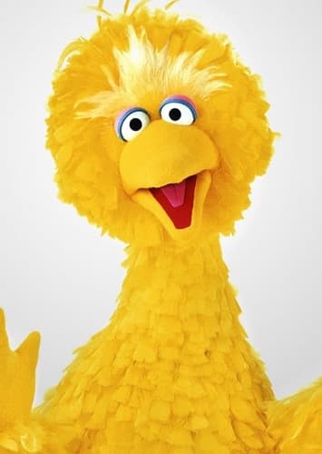 Big Bird