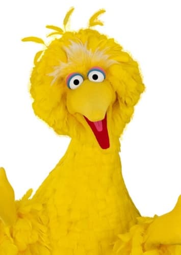 Big Bird