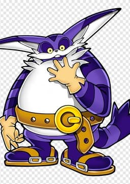 Big The Cat