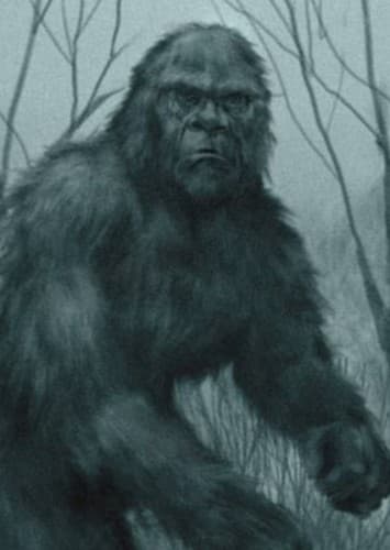 Bigfoot
