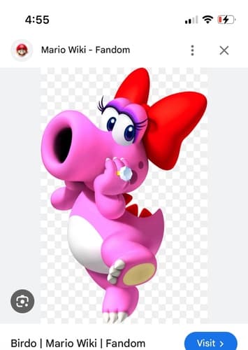 Birdo