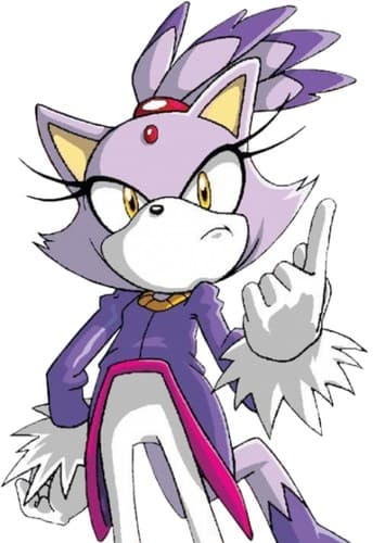 Blaze The Cat