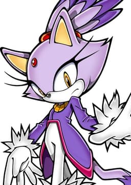 Blaze the Cat