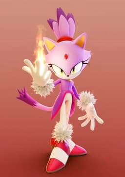 Blaze The Cat