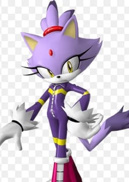 Blaze the Cat