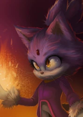 Blaze the Cat