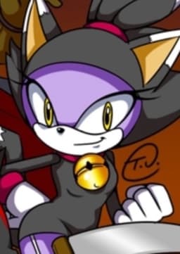 Blaze the Cat