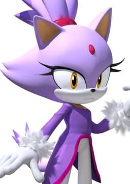 Blaze The Cat