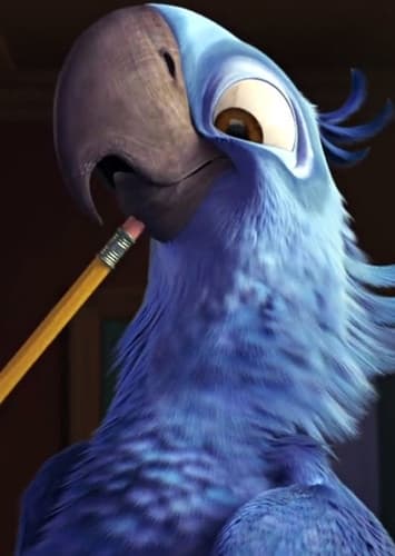 Blu the Macaw